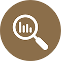 magnifying glass icon